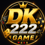 DK222 Game