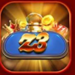 Z3 Game